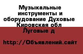 Музыкальные инструменты и оборудование Духовые. Кировская обл.,Луговые д.